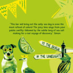 Montezuma'S Sea Dog, 70% Cocoa, Dark Chocolate with Sea Salt & Lime, Gluten Free & Naturally Vegan, 90G Bar