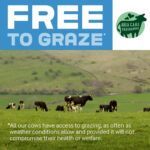 Cravendale Filtered Fresh Whole Milk 2 L Fresher for Longer