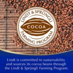 Lindt Hot Chocolate Powder , 300G , Pack of 1