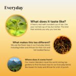 Twinings Everyday Black Tea Classic Blend, Rich & Well Rounded Large Pack, 120 Biodegradable Tea Bags