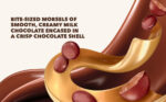 Galaxy Minstrels Milk Chocolate Pouch Bag 125G