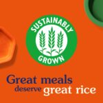 BEN'S ORIGINAL Spicy Mexican Microwave Rice Pouch 220G - Serves 2