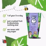Innocent Kids Smoothies Apples & Blackcurrants 10X150Ml