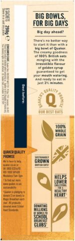 Quaker Oat so Simple Big Bowl Golden Syrup, 6 X 49.6 G
