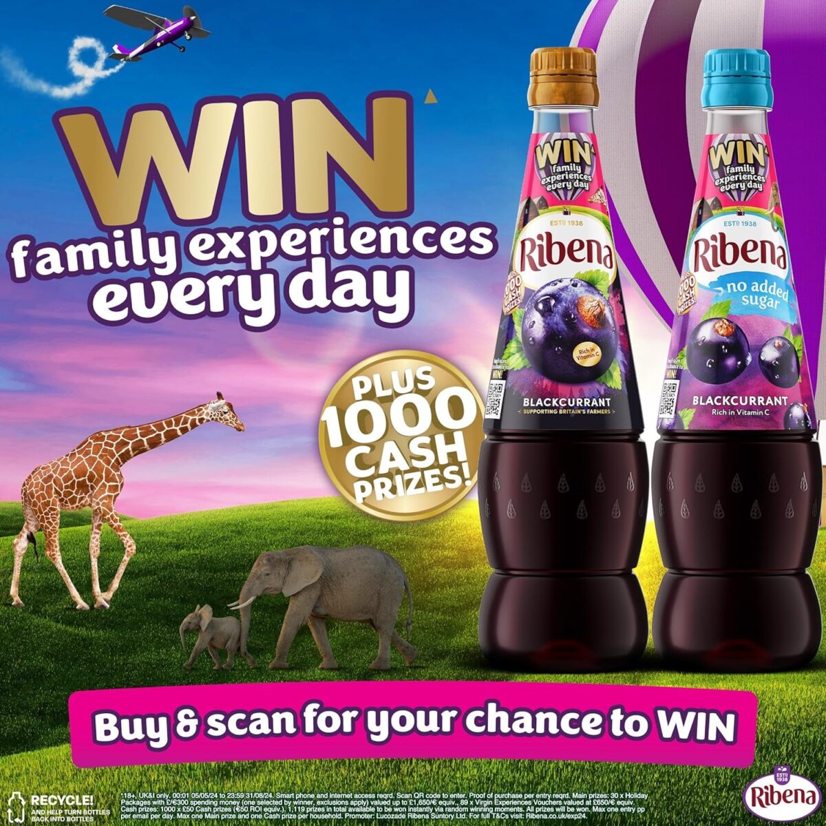 Ribena Blackcurrant Squash 1.5L – Real British Blackcurrants | Rich in Vitamin C | No Artificial Colours or Flavours | 100% Recycled Plastic Bottle