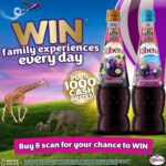 Ribena Blackcurrant Squash 1.5L – Real British Blackcurrants | Rich in Vitamin C | No Artificial Colours or Flavours | 100% Recycled Plastic Bottle