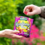 Rowntree'S Randoms Juicers Sweets Sharing Pouch, 140G