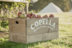 Copella Apple and Elderflower Juice, 1.35 Litre