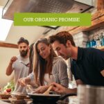 Mr Organic - Basilico Pasta Sauce - Vegan, Vegetarian, No Added Sugar, Organic and Natural Basilico and Tomato Sauce - Contains Sun Ripened Tomatoes and Basil