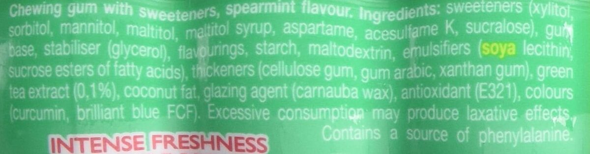 Mentos Pure Fresh Chewing Gum Sugar Free Spearmint, 100G