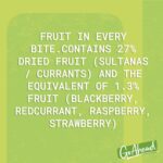 Go Ahead Forest Fruit Crispy Fruit Slice 4 Snack Bars, 174 G (Pack of 1)