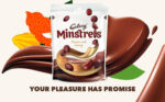 Galaxy Minstrels Milk Chocolate Pouch Bag 125G