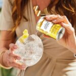London Essence,Original Indian Tonic, Premium Cocktail Mixer, 150Ml, Pack of 10 Cans, No Artificial Colours Preservatives or Flavours, Low Calorie