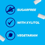 Extra Chewing Gum, Sugar Free, Spearmint Flavour, Pack of 3 X 9 Pieces (Packing May Vary)