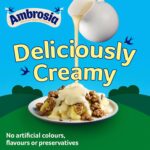 Ambrosia Devon Ready-To-Eat Original Custard Can 400 G (Pack of 1)