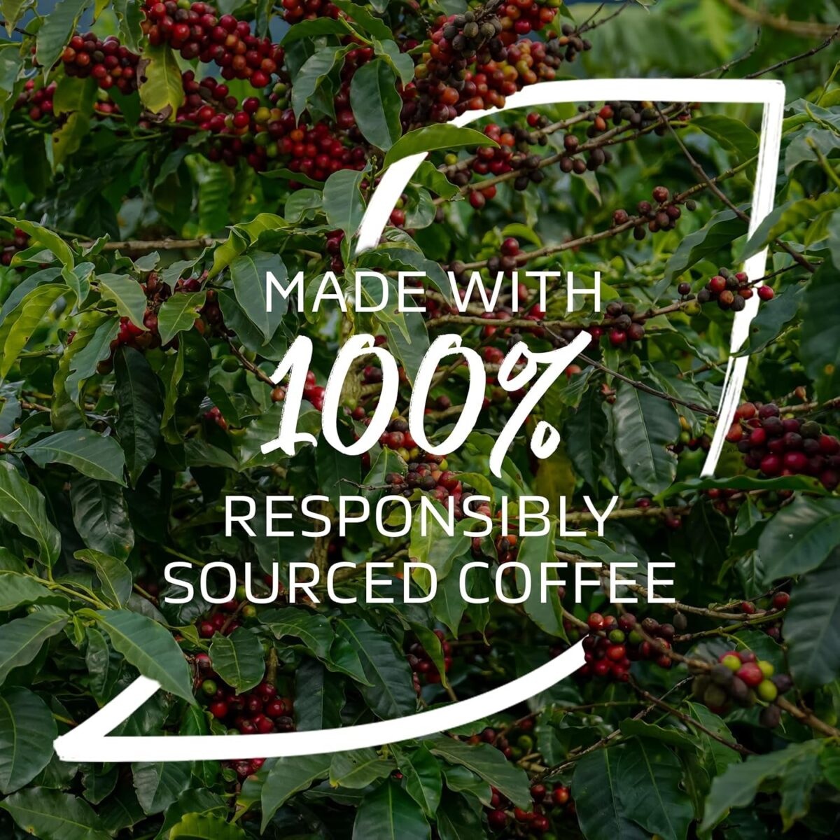 NESCAFÉ Cappuccino Instant Coffee 8 X 15.5G Sachets, 100% Responsibly Sourced Coffee (Pack of 1)