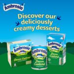 Ambrosia Devon Ready-To-Eat Original Custard Can 400 G (Pack of 1)