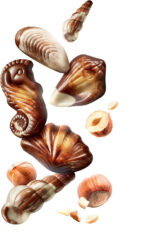 Guylian 22 Belgian Chocolates the Original, 250G