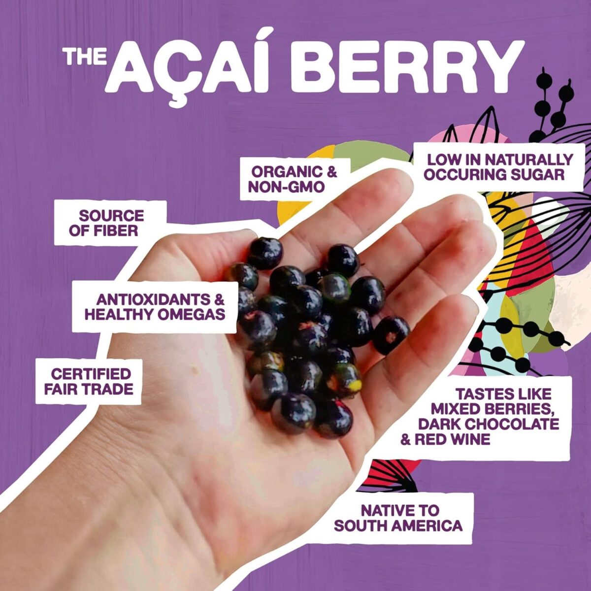 Sambazon Acai Unsweetened Superfruit Pack, 400G (Frozen)