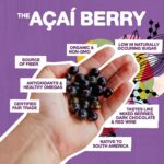 Sambazon Scoopable Acai, 500 Ml